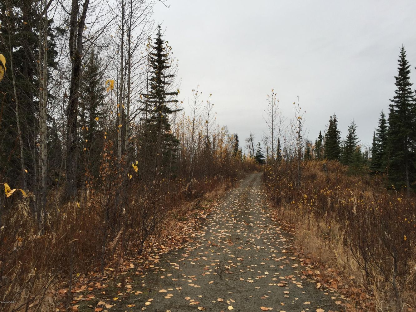 63885 Tailwind Rd, Ninilchik, AK 99639